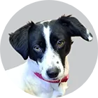 Amy